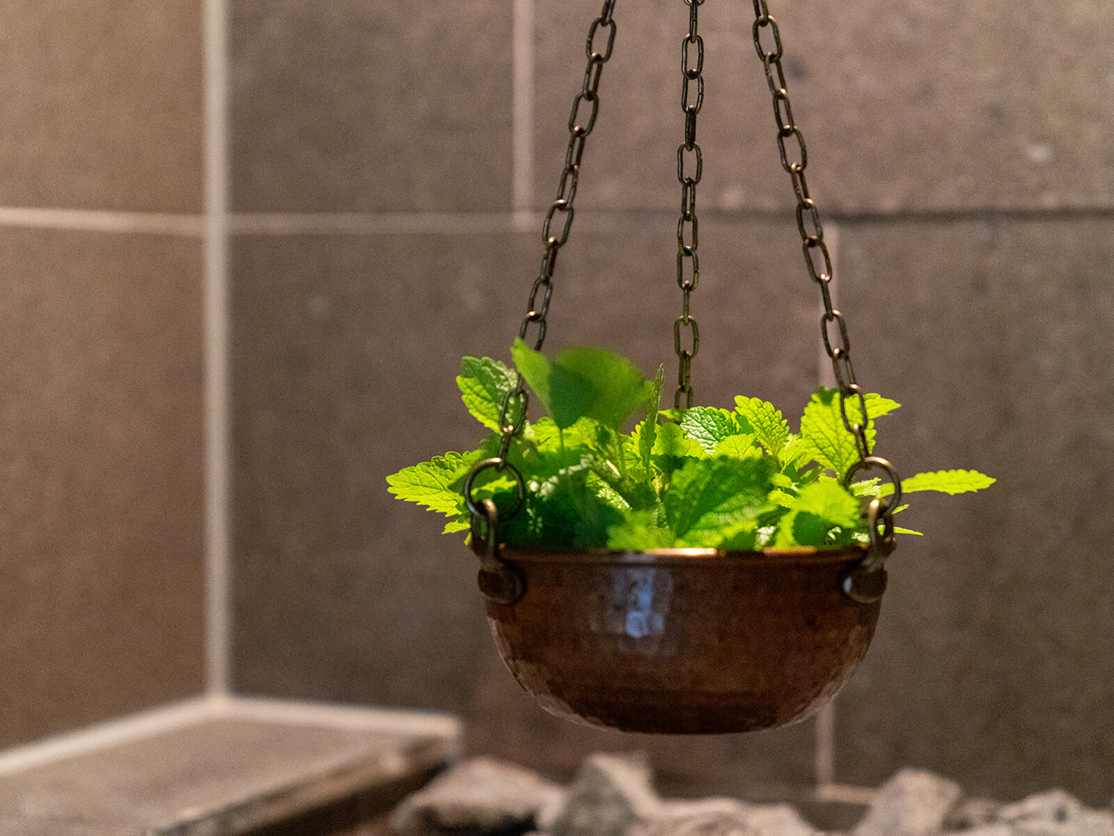 Bio Aroma Sauna