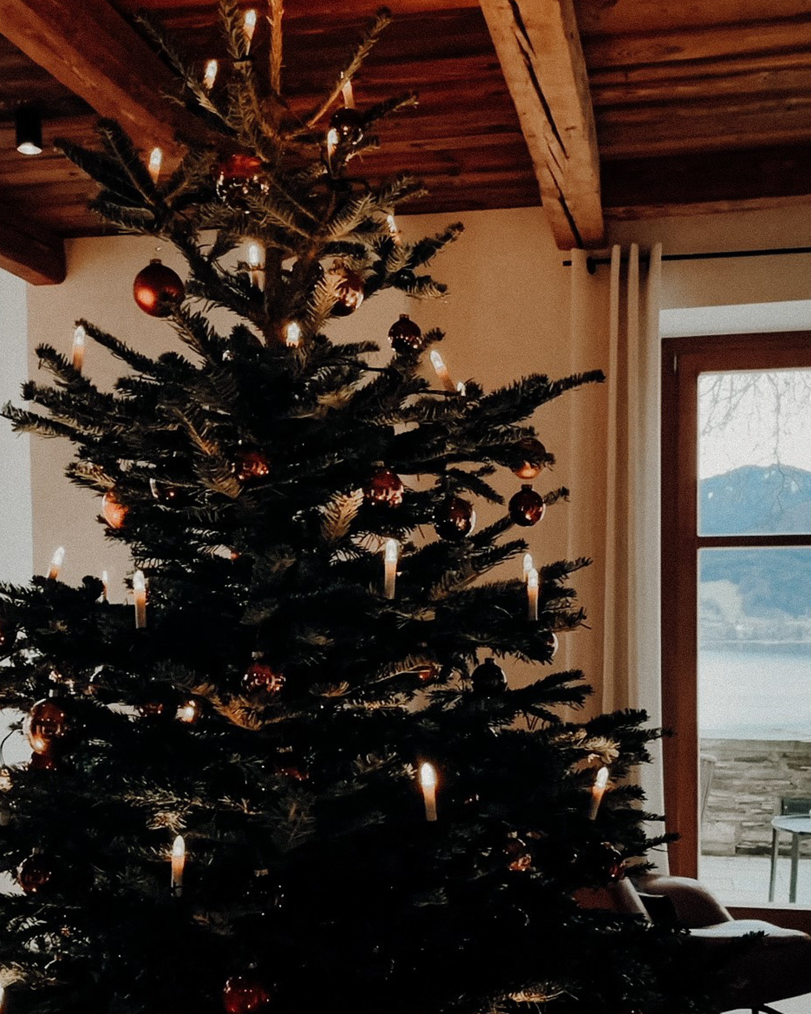 Weihnachtsbaum